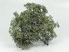 Bear`s Scale Modeling 300109 BLOOMING BUSH (1 pcs)